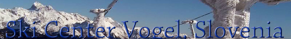 vogel