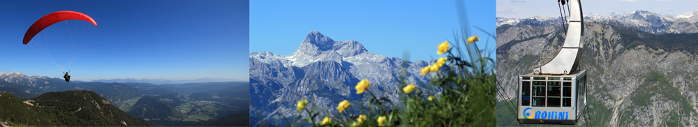 vogel_pomlad_2018