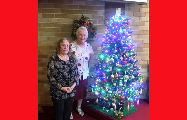 Božično  drevesce  sta  kakor  vsako leto   pripravili in okrasili  Sonja  Fišer   in  Zora  Johnson, 