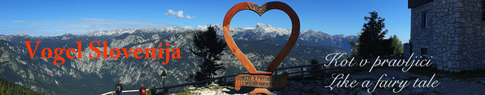 Vogel Slovenija